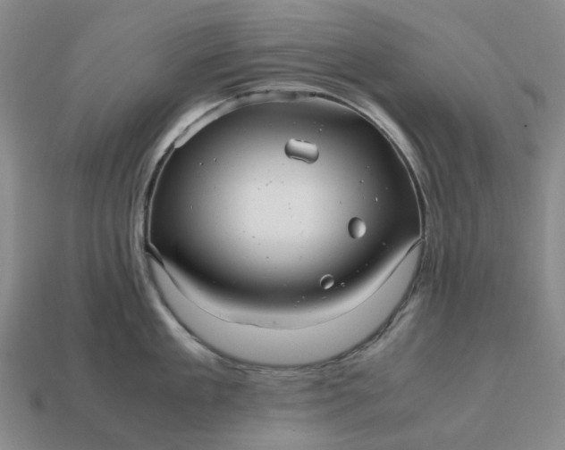 X0000112970909200909101650