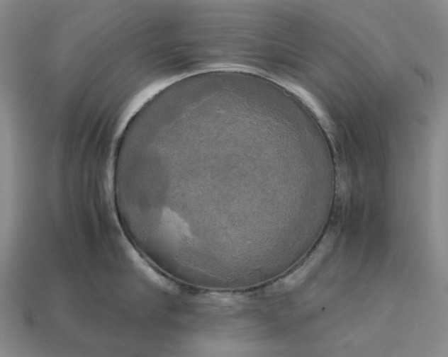 X0000112970910200909101650