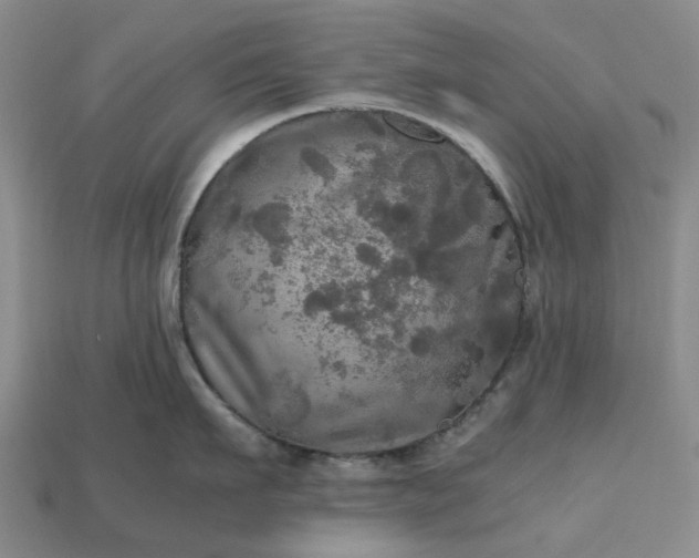 X0000112970911200909101650