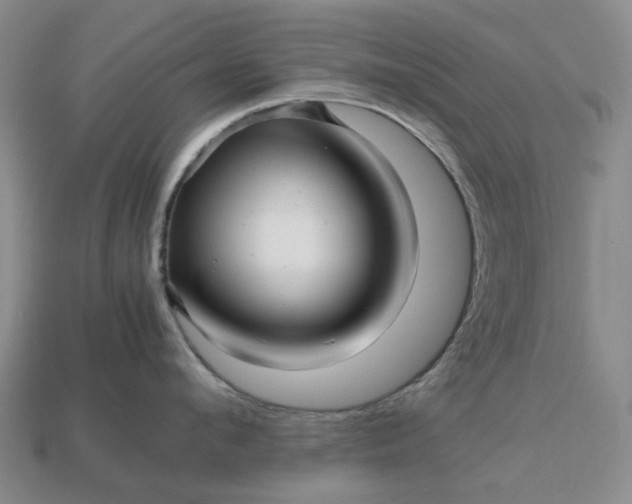 X0000112970912200909101650