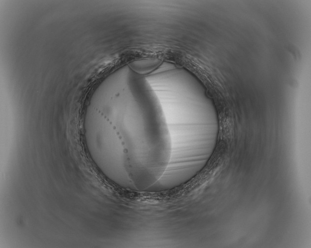 X0000112970913200909101650