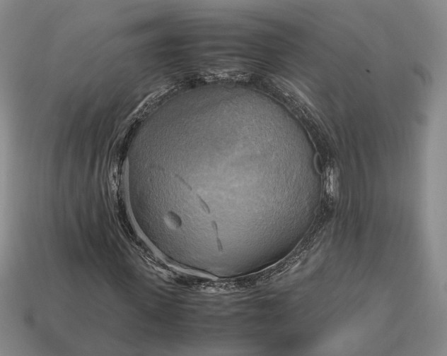 X0000112970915200909101650