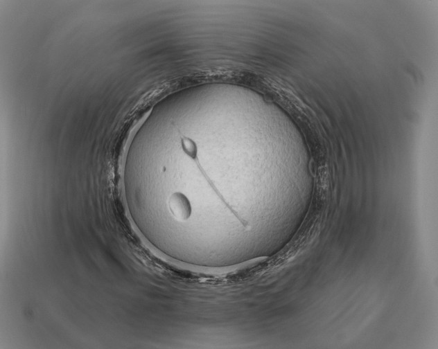 X0000112970916200909101650