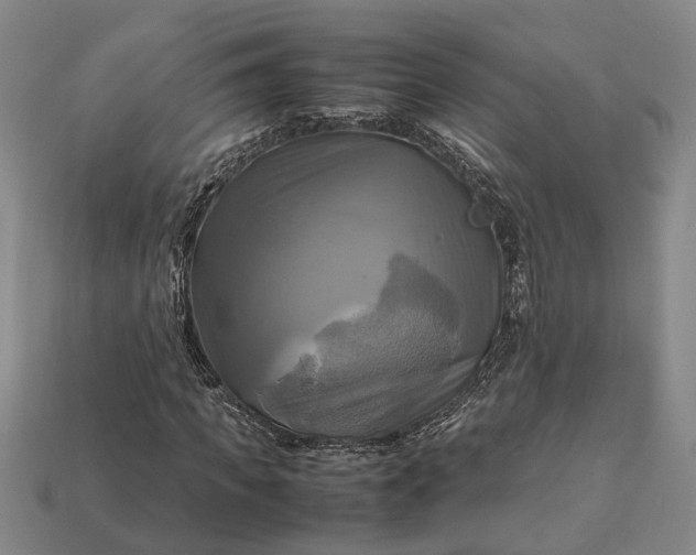 X0000112970917200909101650