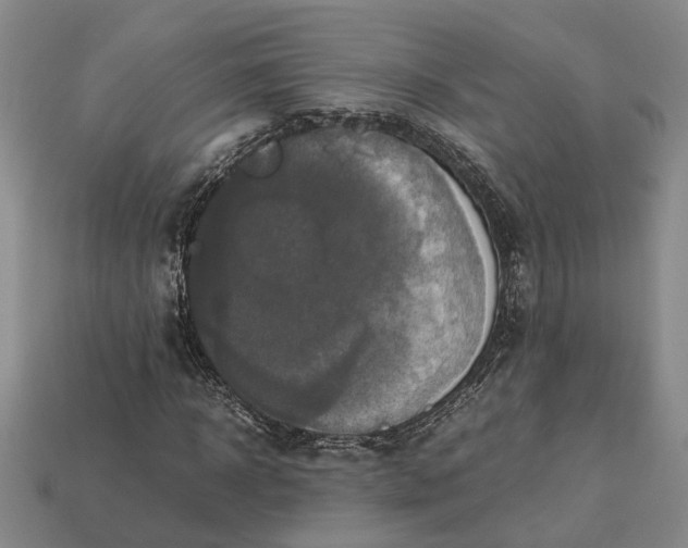 X0000112970918200909101650