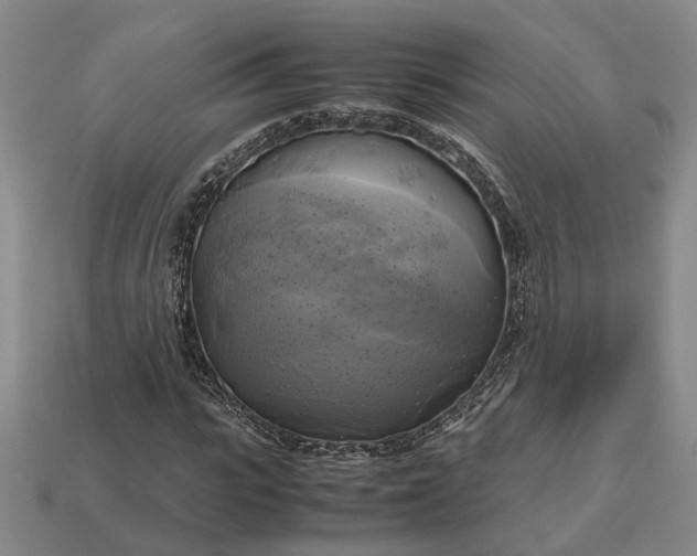 X0000112970919200909101650