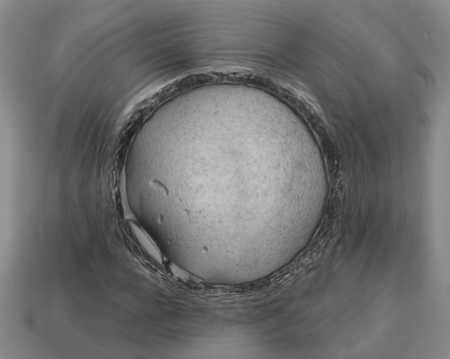 X0000112970920200909101650