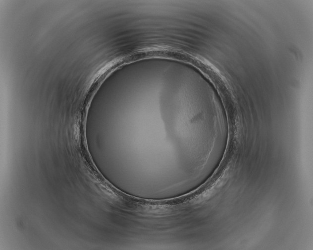 X0000112970921200909101650