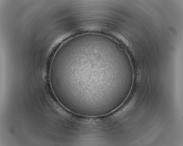 X0000112970922200909101650