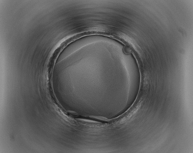 X0000112970923200909101650