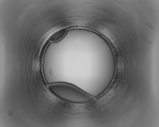 X0000112970924200909101650