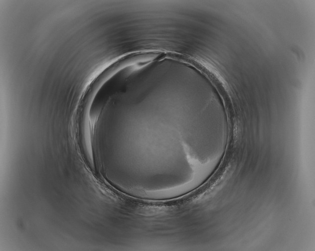 X0000112970925200909101650