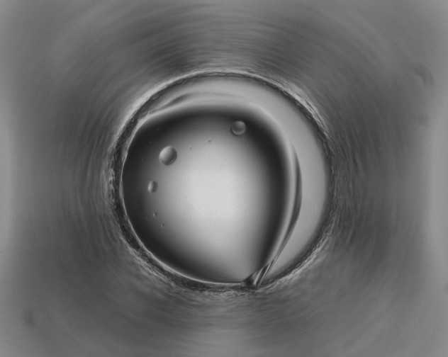 X0000112970926200909101650