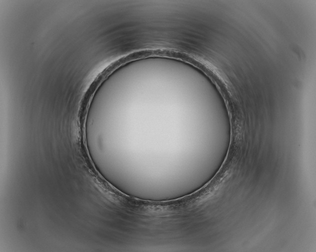 X0000112970927200909101650