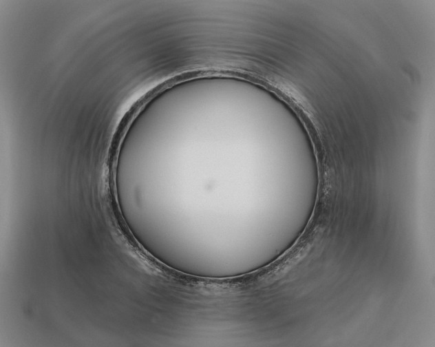 X0000112970928200909101650