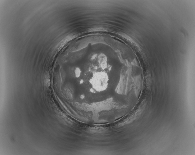 X0000112970929200909101650