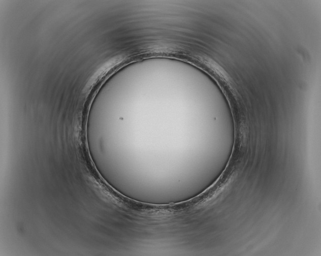 X0000112970930200909101650