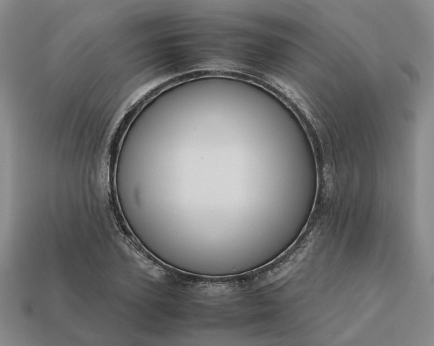 X0000112970931200909101650