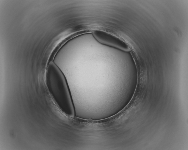 X0000112970932200909101650