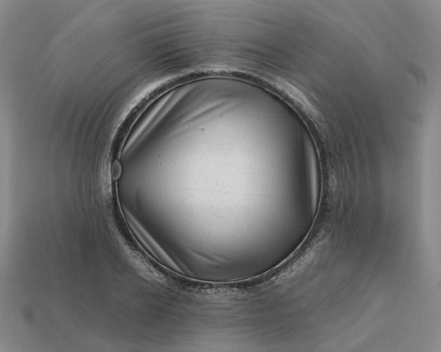 X0000112970934200909101650