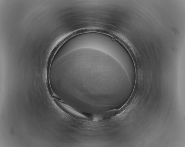 X0000112970935200909101650