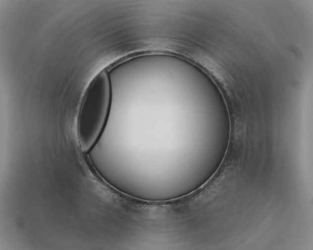 X0000112970936200909101650