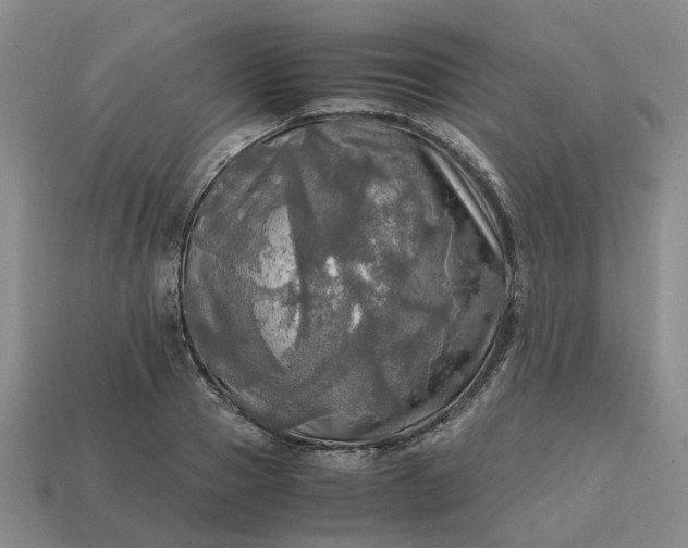 X0000112970937200909101650