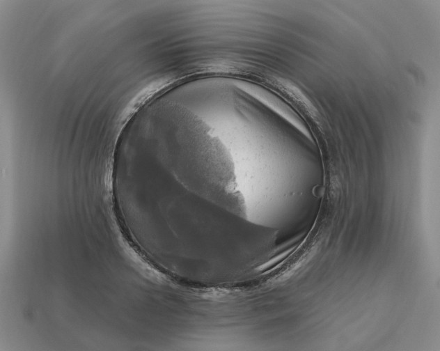 X0000112970938200909101650