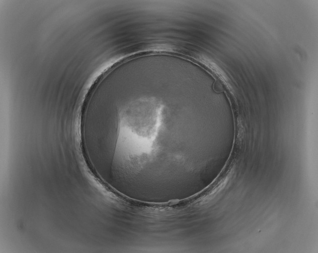 X0000112970939200909101650