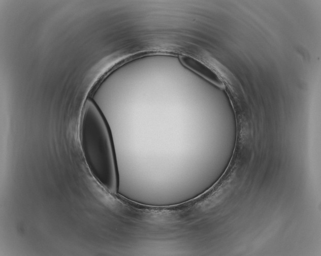 X0000112970940200909101650