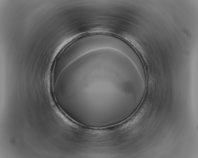 X0000112970941200909101650