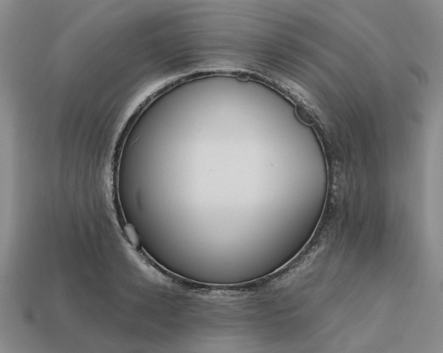 X0000112970942200909101650