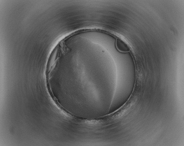 X0000112970943200909101650