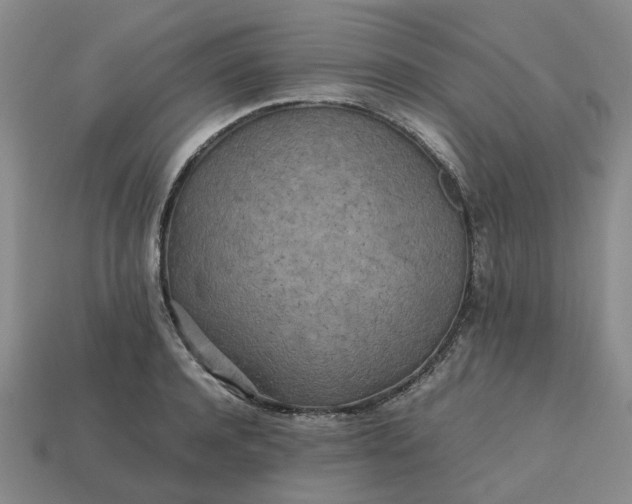 X0000112970944200909101650