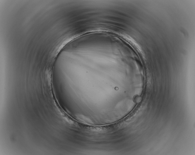 X0000112970945200909101650