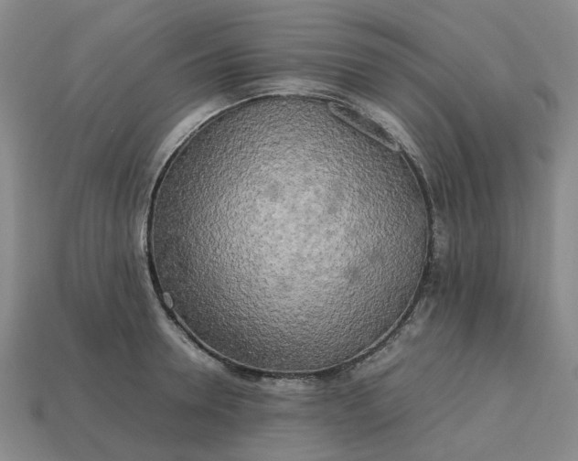 X0000112970946200909101650