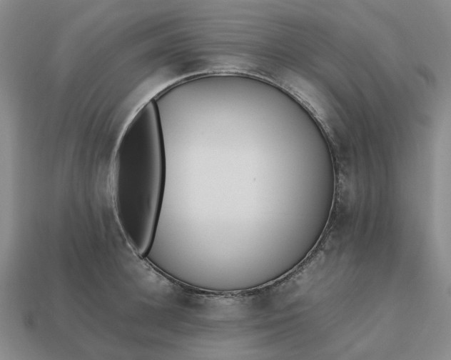 X0000112970948200909101650