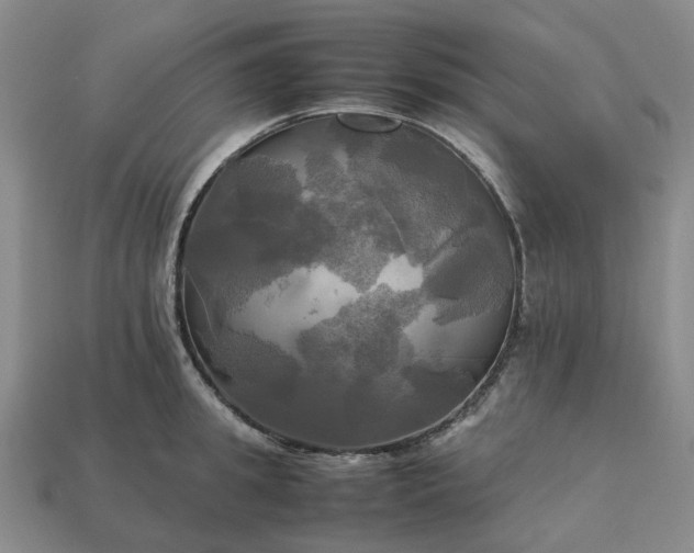 X0000112970949200909101650