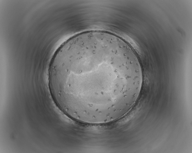 X0000112970950200909101650