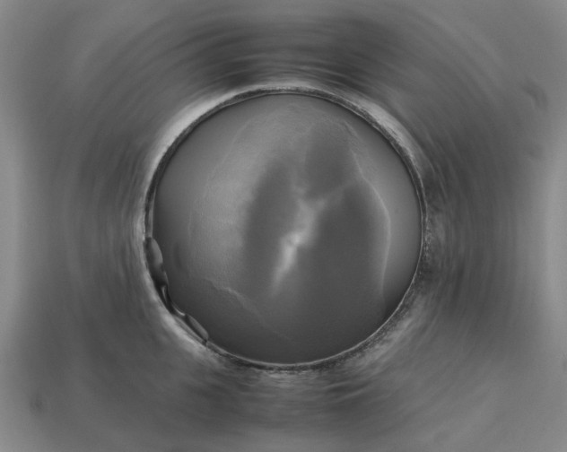 X0000112970951200909101650