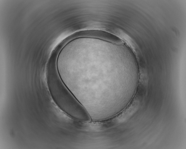 X0000112970952200909101650