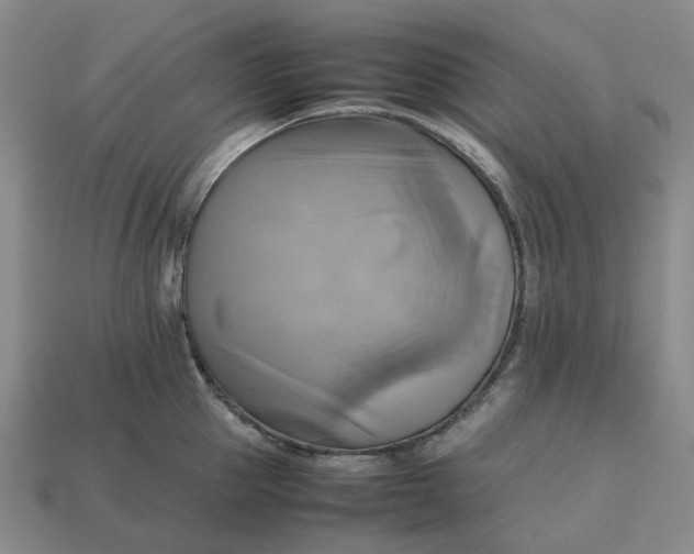 X0000112970953200909101650