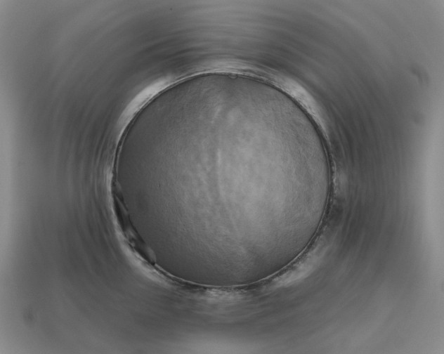 X0000112970954200909101650