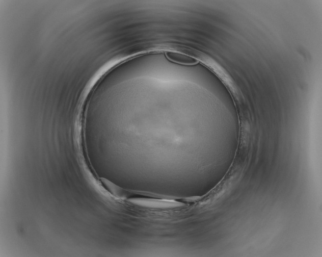 X0000112970955200909101650