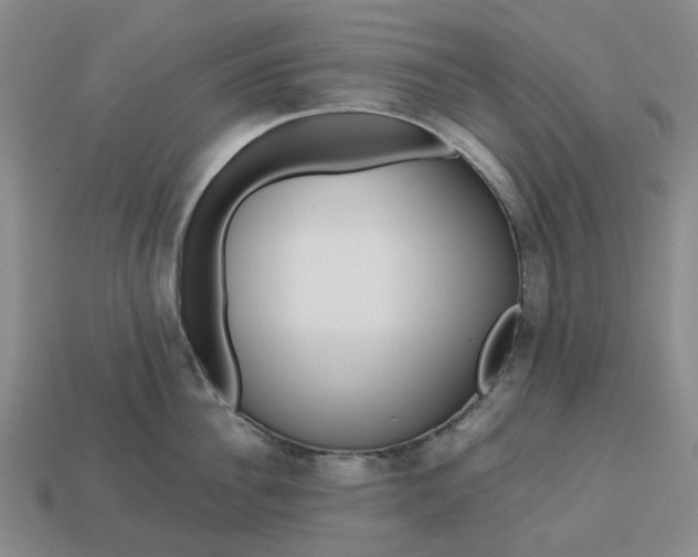 X0000112970956200909101650