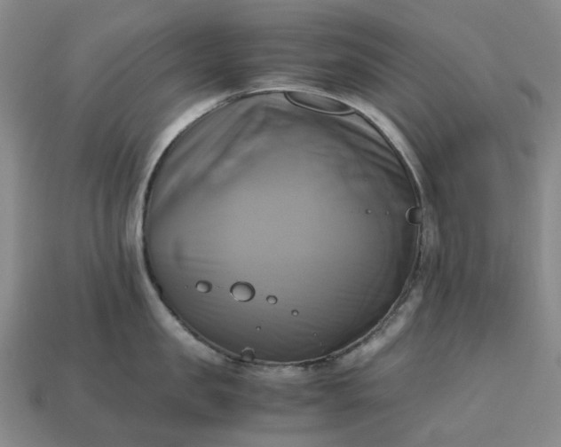 X0000112970957200909101650