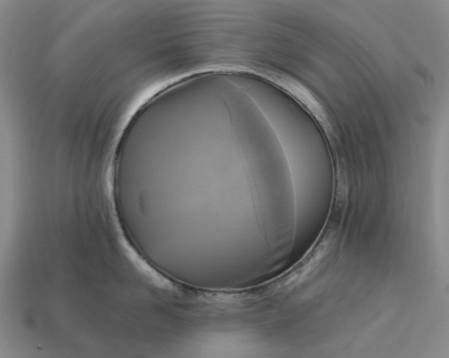 X0000112970958200909101650