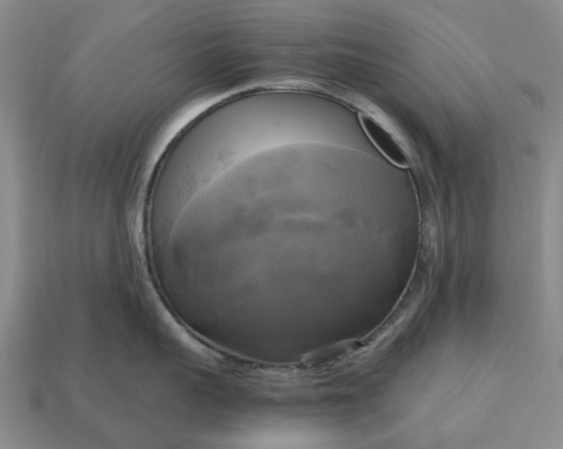 X0000112970959200909101650