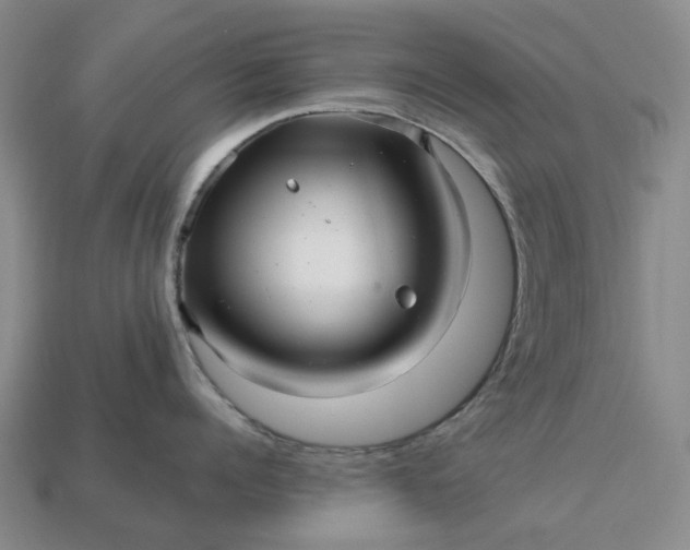 X0000112970960200909101650