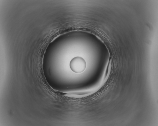 X0000112970961200909101649